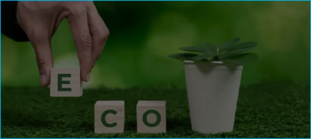 Hybrid Eco-Friendly and Sustainable Options