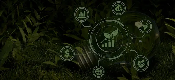 Excellence Doesn’t Have to Cost the Earth!