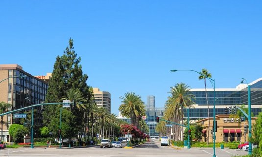 anaheim