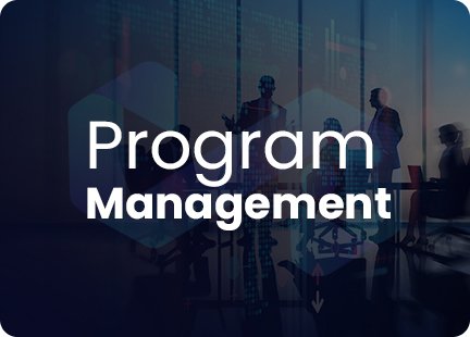 program management